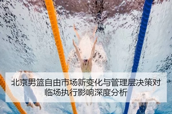 bei-jing-nan-lan-zi-you-shi-chang-xin-bian-hua-yu-guan-li-ceng-jue-ce-dui-lin-chang-zhi-xing-ying-xiang-shen-du-fen-xi-2-935.jpg