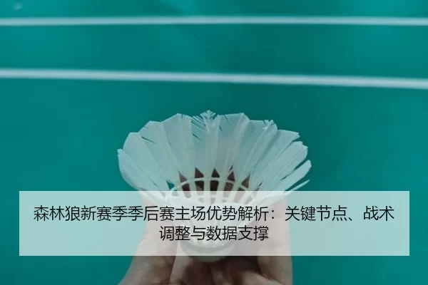 森林狼新赛季季后赛主场优势解析：关键节点、战术调整与数据支撑